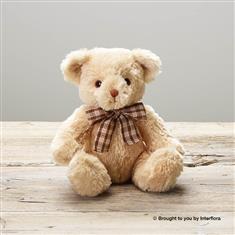Recycled Ralph Bear