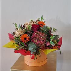 Hatbox arrangement 