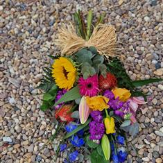Vibrant Sheaf