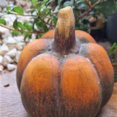 Rustic Pumpkin 