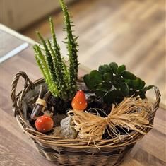 Cactus Wicker Basket