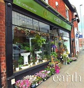 Earth Flowers Stafford
